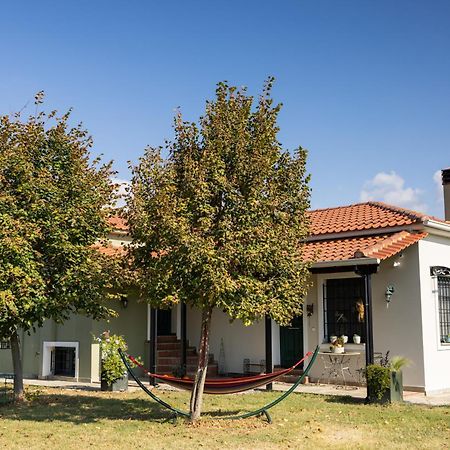 The Hobbit Hole Villa Trikala  Bagian luar foto